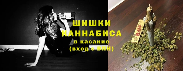 ECSTASY Богородск