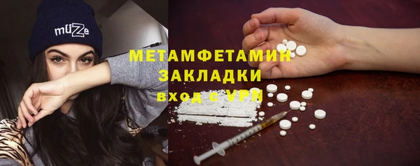 индика Белокуриха