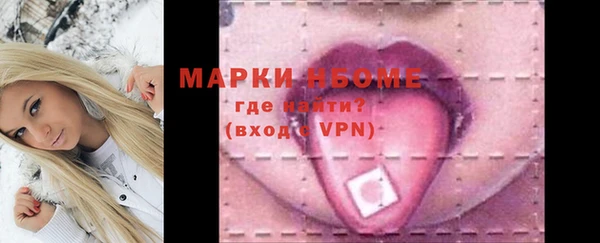 индика Белокуриха