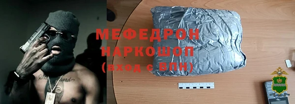 индика Белокуриха