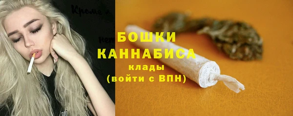 ECSTASY Богородск