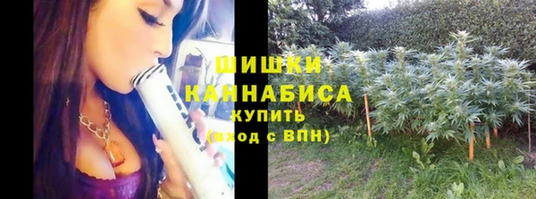 ALPHA PVP Богородицк