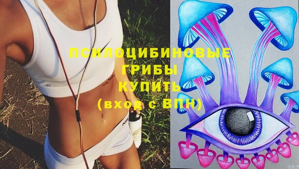 ECSTASY Богородск