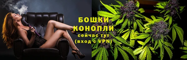 индика Белокуриха